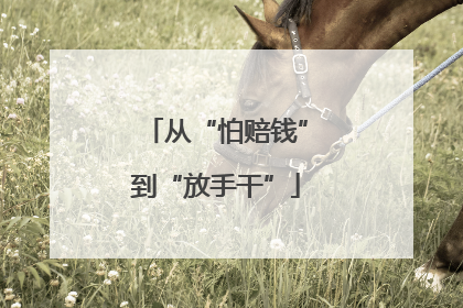 从“怕赔钱”到“放手干”