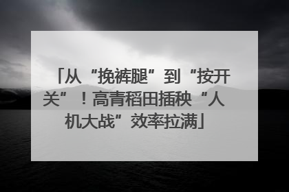 从“挽裤腿”到“按开关”！高青稻田插秧“人机大战”效率拉满