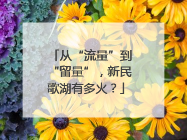从“流量”到“留量”，新民歌湖有多火？