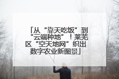 从“靠天吃饭”到“云端种地”！莱芜区“空天地网”织出数字农业新图景