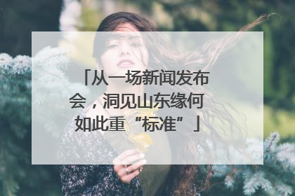 从一场新闻发布会，洞见山东缘何如此重“标准”