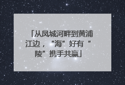 从凤城河畔到黄浦江边，“海”好有“陵”携手共赢