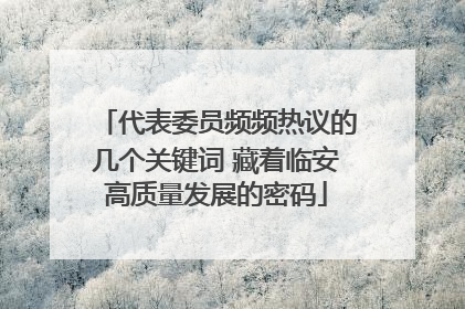 代表委员频频热议的几个关键词 藏着临安高质量发展的密码