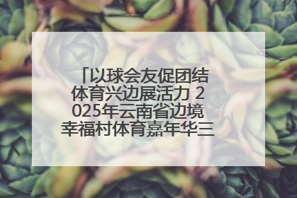 以球会友促团结 体育兴边展活力 2025年云南省边境幸福村体育嘉年华三人篮球赛圆满收官