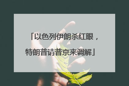 以色列伊朗杀红眼，特朗普请普京来调解