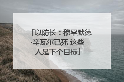 以防长：穆罕默德·辛瓦尔已死 这些人是下个目标