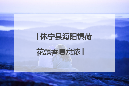 休宁县海阳镇荷花飘香夏意浓