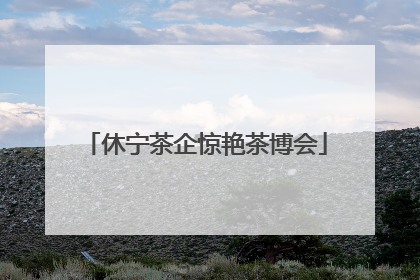 休宁茶企惊艳茶博会