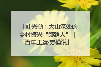叶光勤：大山深处的乡村振兴“领路人”｜百年工运·劳模说