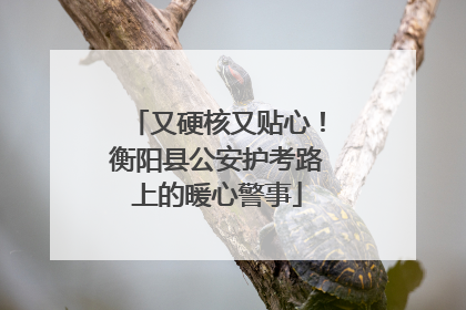 又硬核又贴心！衡阳县公安护考路上的暖心警事