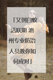 又到白蚁活跃期 池州专业防治人员教你如何应对
