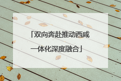 双向奔赴推动西咸一体化深度融合