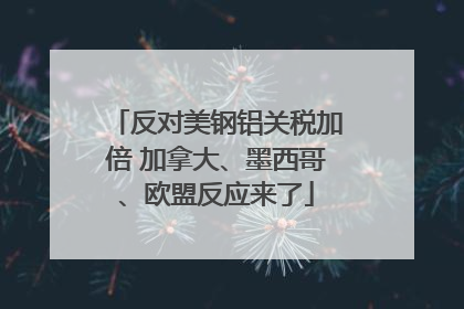 反对美钢铝关税加倍 加拿大、墨西哥、欧盟反应来了