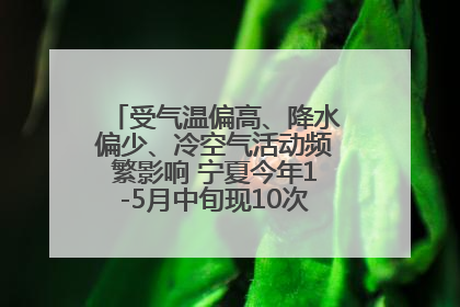 受气温偏高、降水偏少、冷空气活动频繁影响 宁夏今年1-5月中旬现10次定级沙尘天气过程