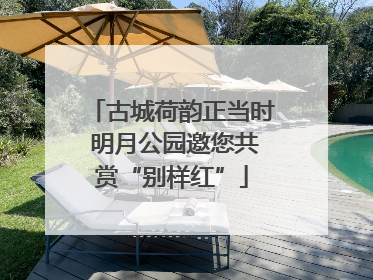 古城荷韵正当时 明月公园邀您共赏“别样红”