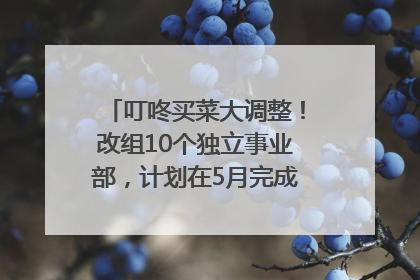 叮咚买菜大调整！改组10个独立事业部，计划在5月完成App端全面改版