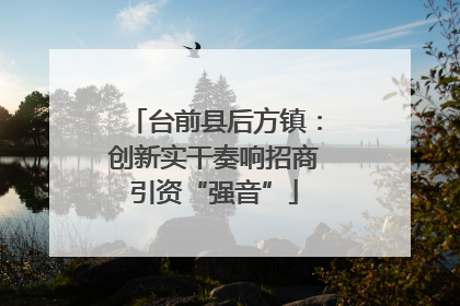 台前县后方镇：创新实干奏响招商引资“强音”
