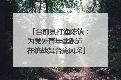 台前县打渔陈镇：为党外青年建跑道 在统战舞台竞风采