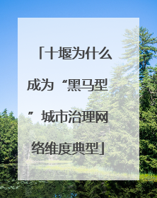 十堰为什么成为“黑马型”城市治理网络维度典型