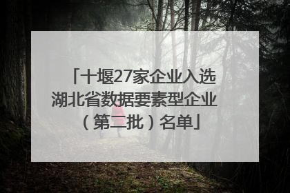 十堰27家企业入选湖北省数据要素型企业（第二批）名单