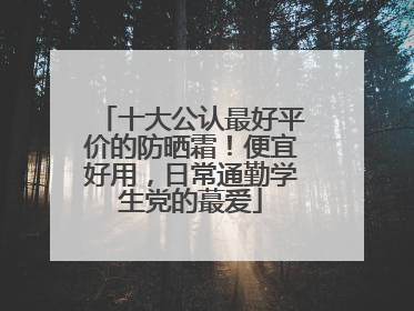 十大公认最好平价的防晒霜！便宜好用，日常通勤学生党的蕞爱