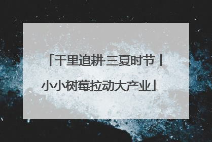 千里追耕·三夏时节丨小小树莓拉动大产业