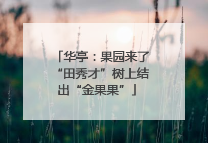 华亭：果园来了“田秀才”树上结出“金果果”