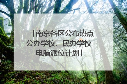 南京各区公布热点公办学校、民办学校电脑派位计划