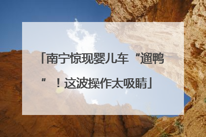 南宁惊现婴儿车“遛鸭”！这波操作太吸睛