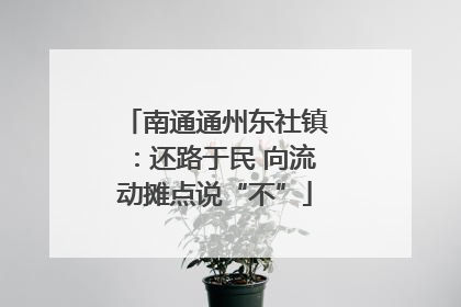 南通通州东社镇：还路于民 向流动摊点说“不”