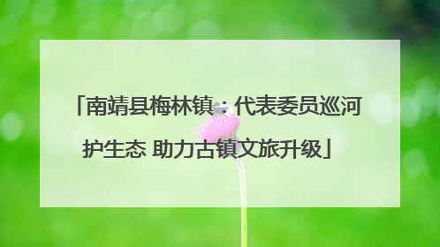 南靖县梅林镇：代表委员巡河护生态 助力古镇文旅升级