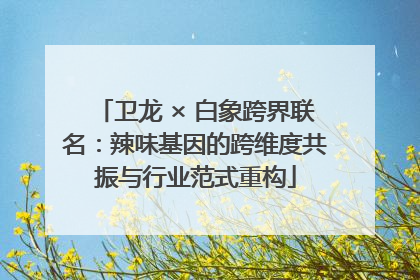 卫龙 × 白象跨界联名：辣味基因的跨维度共振与行业范式重构