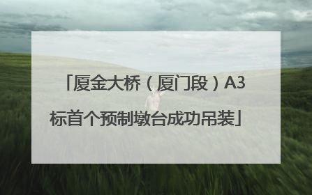 厦金大桥（厦门段）A3标首个预制墩台成功吊装