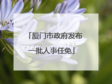 厦门市政府发布一批人事任免