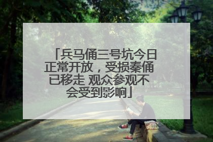 兵马俑三号坑今日正常开放，受损秦俑已移走 观众参观不会受到影响