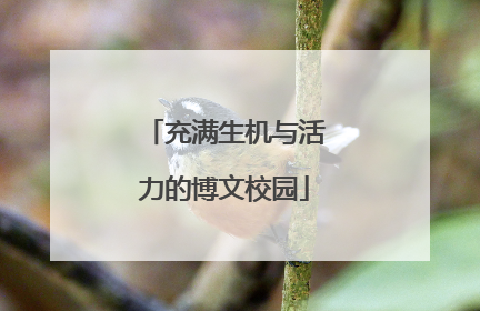 充满生机与活力的博文校园