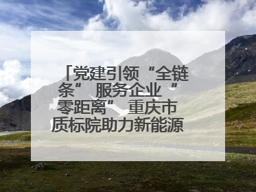 党建引领“全链条” 服务企业“零距离” 重庆市质标院助力新能源汽车产业链提升质量管理水平