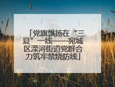 党旗飘扬在“三夏”一线——宛城区溧河街道党群合力筑牢禁烧防线
