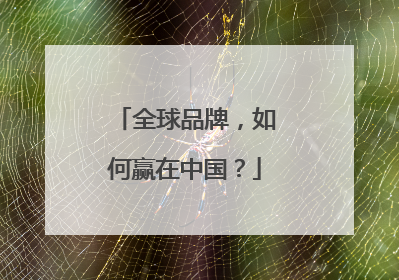 全球品牌，如何赢在中国？