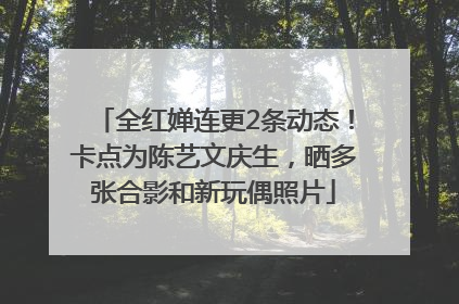 全红婵连更2条动态！卡点为陈艺文庆生，晒多张合影和新玩偶照片