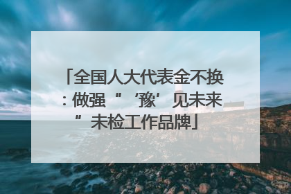 全国人大代表金不换：做强“‘豫’见未来”未检工作品牌
