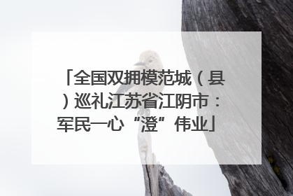全国双拥模范城（县）巡礼江苏省江阴市：军民一心“澄”伟业