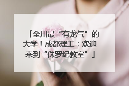 全川最“有龙气”的大学！成都理工：欢迎来到“侏罗纪教室”