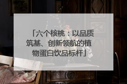 六个核桃：以品质筑基、创新领航的植物蛋白饮品标杆
