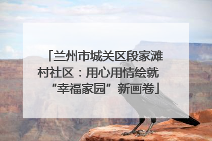 兰州市城关区段家滩村社区：用心用情绘就“幸福家园”新画卷