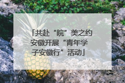 共赴“皖”美之约 安徽开展“青年学子安徽行”活动