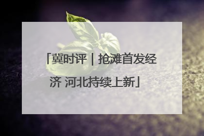 冀时评｜抢滩首发经济 河北持续上新