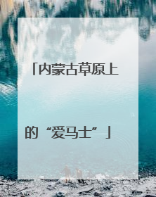内蒙古草原上的“爱马士”