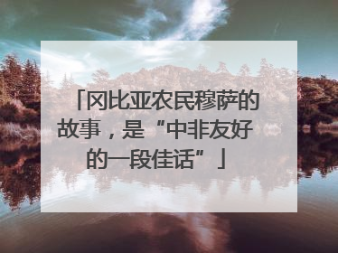 冈比亚农民穆萨的故事，是“中非友好的一段佳话”