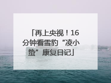 再上央视！16分钟看雪豹“凌小蛰”康复日记